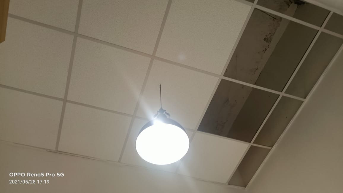 Single Die Paper Dona